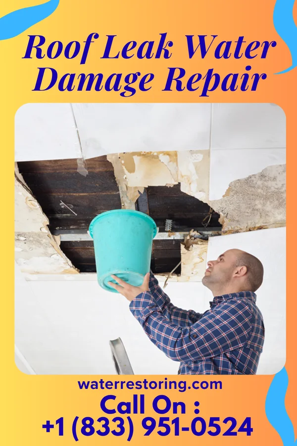 Roof Leak Water Damage Repair in Uehling, NE